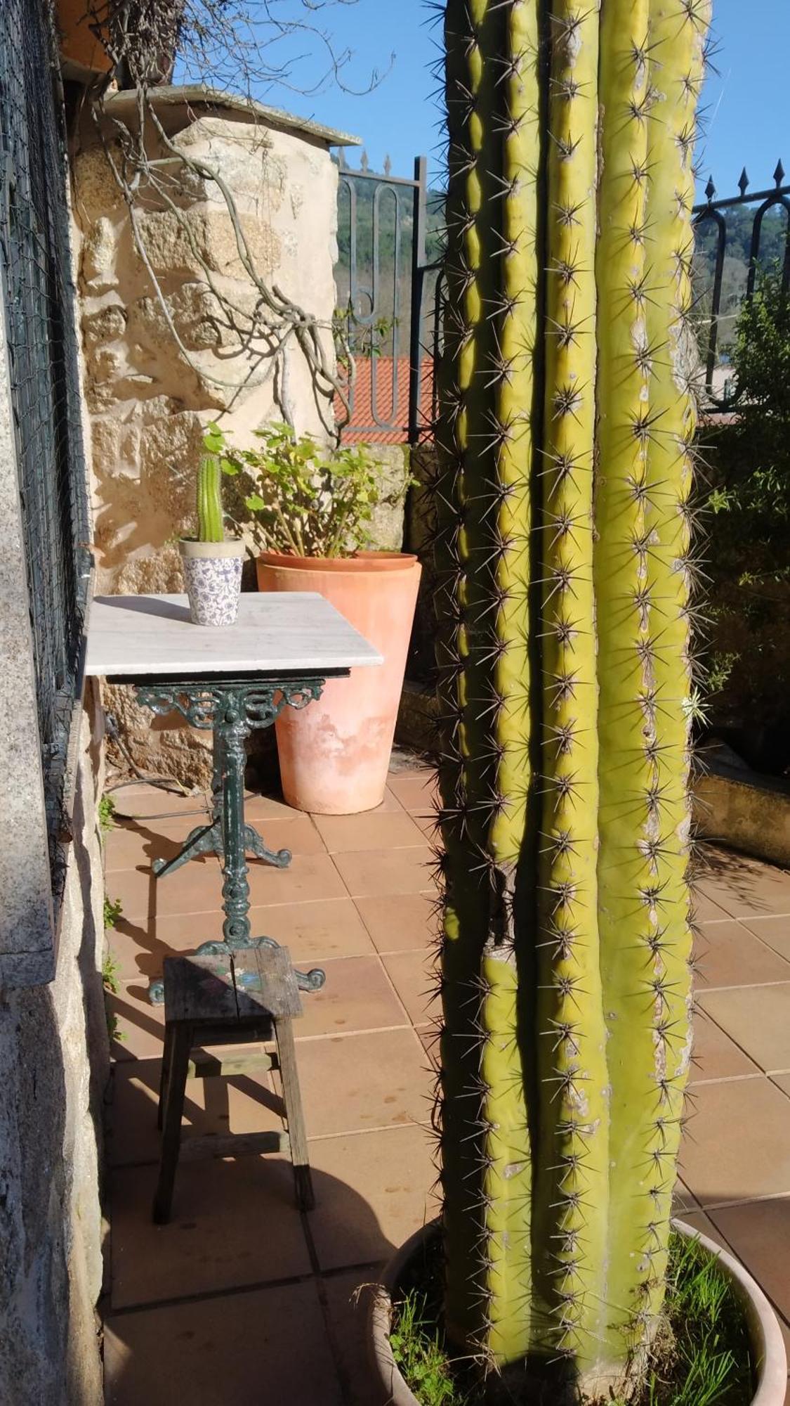 Villa Casa Iriana - Parking Gratis I Jardin I Barbacoa Ourense Exterior foto